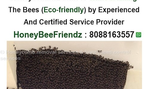 Honeycomb removal services & honeybees control services - Pest Control in Bapuji Nagar, Bangalore