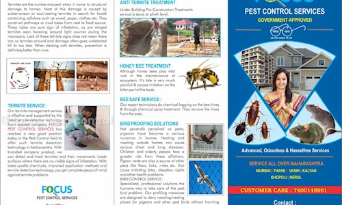 focus pest control - Pest Control in Valvande, Mumbai