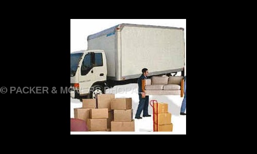 Ezee Shifting Packer & Mover - Packers and Movers in Govindpura, Bhopal