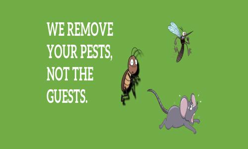 Akhilesh Karthik - Pest Control in Hayath Nagar, Hyderabad