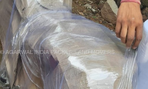 Jyoti Domestic Packers and Movers - Packers and Movers in Vyapar Vihar, Bilaspur