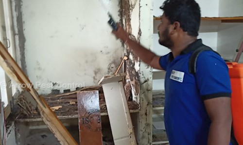 Arrow Pest Control - Pest Control in Jeedimetla, Hyderabad