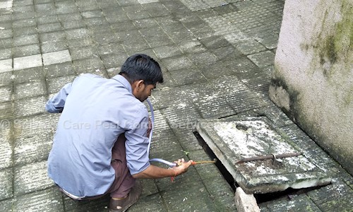 Solve & Care Pest Control Services - Pest Control in Kalyan West, Mumbai