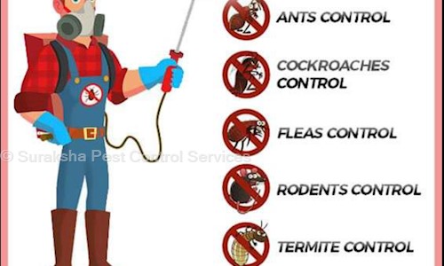 Suraksha Pest Control Services - Pest Control in Kokapet, Hyderabad