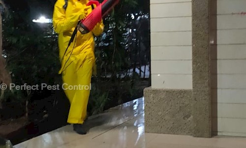 Perfect Pest Control - Pest Control in Thane West, Mumbai