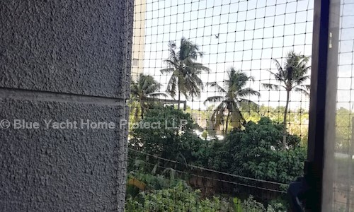 Blue Yacht Home Protect LLP - Pest Control in Panampilly Nagar, Cochin
