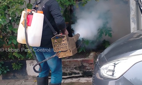 Urban Pest Control - Pest Control in Teynampet, Chennai
