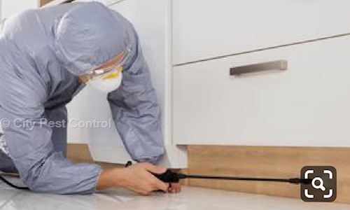 City Pest Control - Pest Control in Ballygunge, Kolkata