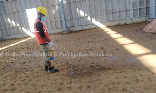 India Pest Control & Fumigation Services - Pest Control in Sai Road, Baddi