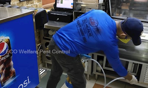 ECO Welfare Pest Control - Pest Control in Virar, Mumbai