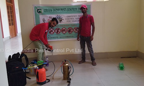Green India Pest Control Pvt Ltd - Pest Control in Khajpura, Patna