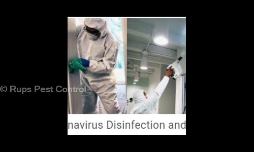Rups Pest Control - Pest Control in Belgharia, Kolkata