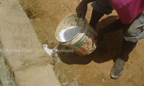 Avnee Pest Control Services - Pest Control in Banashankari, Bangalore