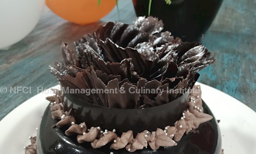 NFCI  Hotel Management & Culinary Institute - Job Training in Preet Nagar, Ludhiana