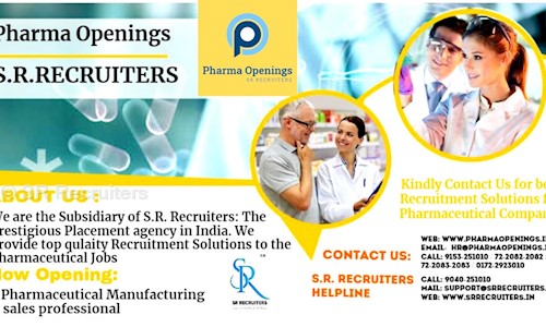 SR Recruiters - Placement Consultancies in Khuda Ali Sher, Chandigarh
