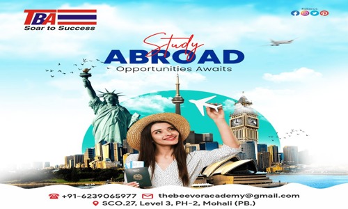 The Beevor Academy - School Tuitions in Bar Majra, Mohali