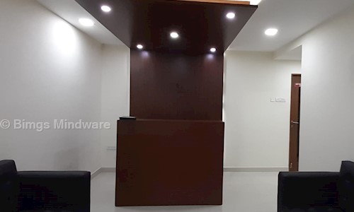 Bimgs Mindware - Job Training in Nungambakkam, chennai