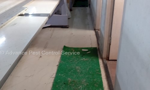 Advance Pest Control Services - Pest Control in Kestopur, Kolkata