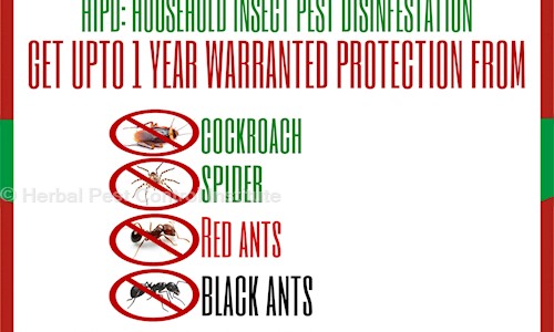 Herbal Pest Control Institute - Pest Control in Gokulpeth, Nagpur