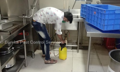 Eureka Pest Control Services - Pest Control in Thane, Mumbai