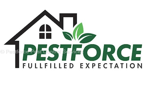 Pestforce Pest Control - Pest Control in Belgachia, Kolkata