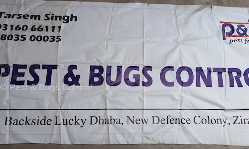Pest & Bugs Control - Pest Control in Zirakpur, Chandigarh