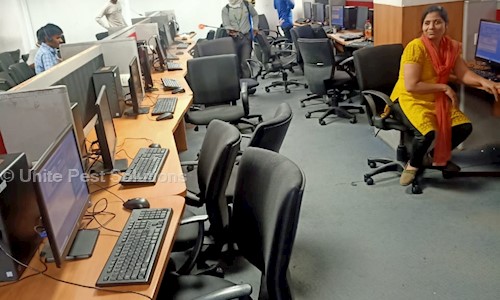 Unite Pest Solution's - Pest Control in Gomti Nagar, Lucknow