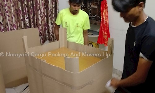 Narayani Cargo Packers And Movers Llp - Packers and Movers in Mansarovar, Jaipur
