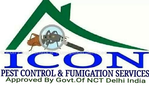 Icon Pest Control &  Fumigation Services - Pest Control in East of Kailash, Delhi