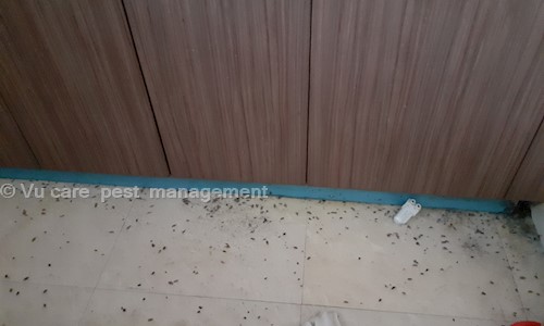 Vu care  pest  management - Pest Control in Chickamagalur, Chikmagalur