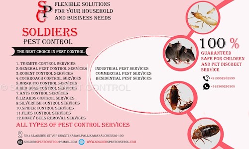 SOLIDERS PEST CONTROL - Pest Control in Adambakkam, Chennai