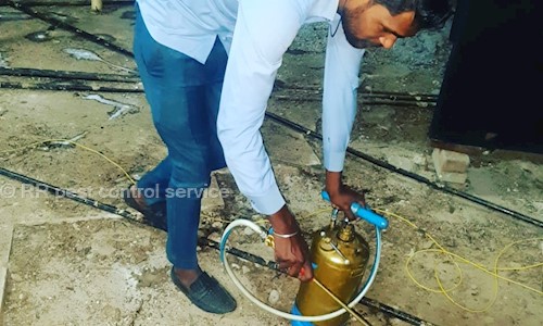 RR pest control service - Pest Control in Saket, delhi