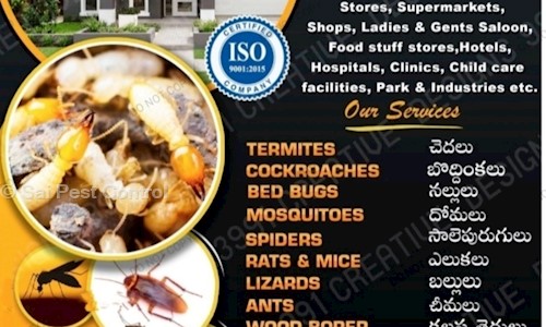 Sai Pest Control - Pest Control in Kashmir Gadda, Karimnagar