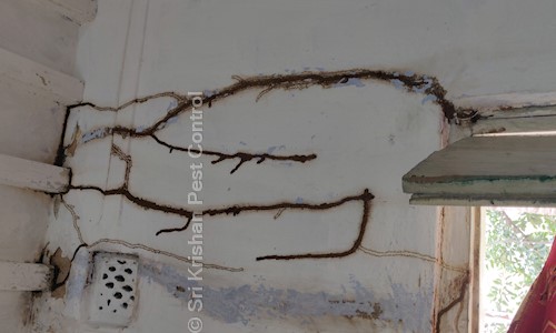 Sri Krishan Pest Control - Pest Control in Telibandha, Raipur