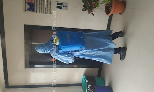 Terminator Pest India Pvt. Ltd. - Pest Control in Vaishali, Jaipur