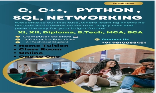 APL Institute - School Tuitions in Uttam Nagar, Delhi