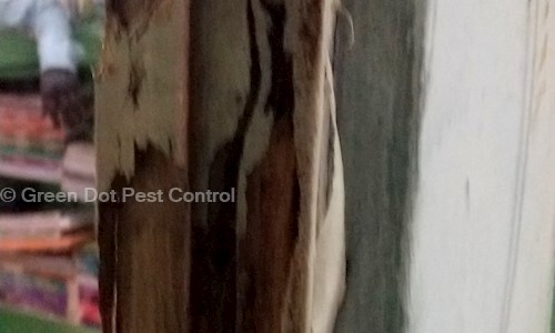 Silver line pest control - Pest Control in Wilson Garden, Bangalore