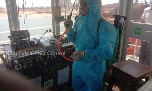 Nilachakra Pest Control - Pest Control in Buxi Bazaar, Cuttack