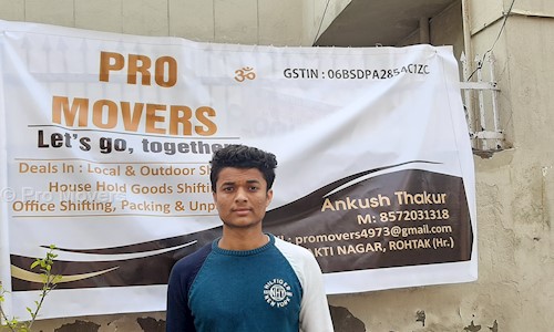 Pro Movers - Packers and Movers in Arya Nagar, Rohtak