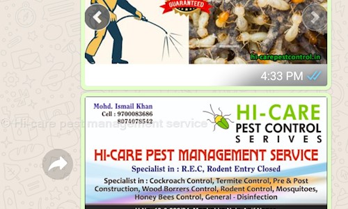 Hi-care pest management service - Pest Control in Attapur, Hyderabad