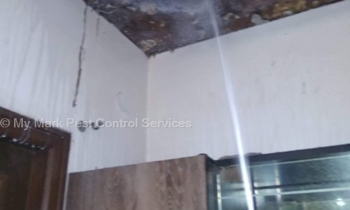My Mark Pest Control Services - Pest Control in Ramanthapur, Hyderabad