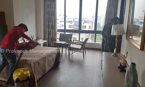 Proknock Management Services - Pest Control in Kasba, Kolkata