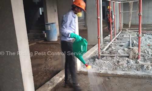 The Rising Pest Control Services - Pest Control in A. Gandhi Marg, Mumbai
