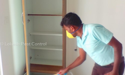 Lokesh Pest Control - Pest Control in Abbigere, Bangalore