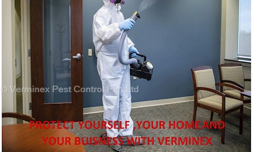 Verminex Pest Control Pvt. Ltd. - Pest Control in Palarivattom, Cochin
