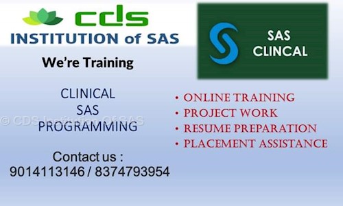 CDS Institution Of SAS - Job Training in Dilsukh Nagar, Hyderabad