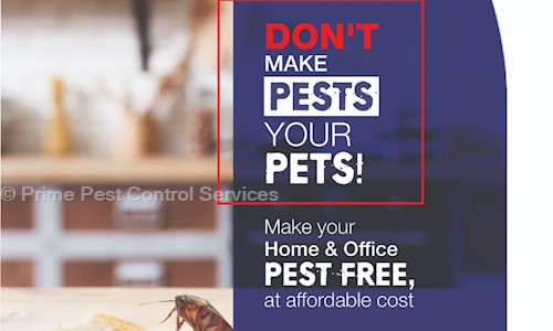 Prime Pest Control Services - Pest Control in Dadar West, Mumbai