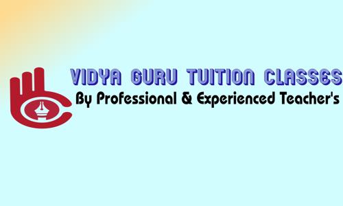 VIDYA GURU TUITION CLASSES - School Tuitions in Nabapally, Kolkata
