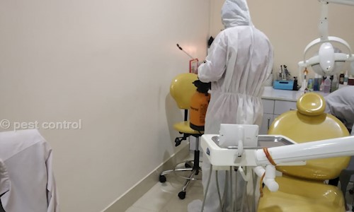 pest control - Pest Control in Laxmisagar, Bhubaneswar