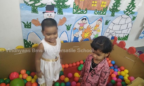 Vindhyaas Bms The Versatile School - Playschools in Hyder Nagar, hyderabad